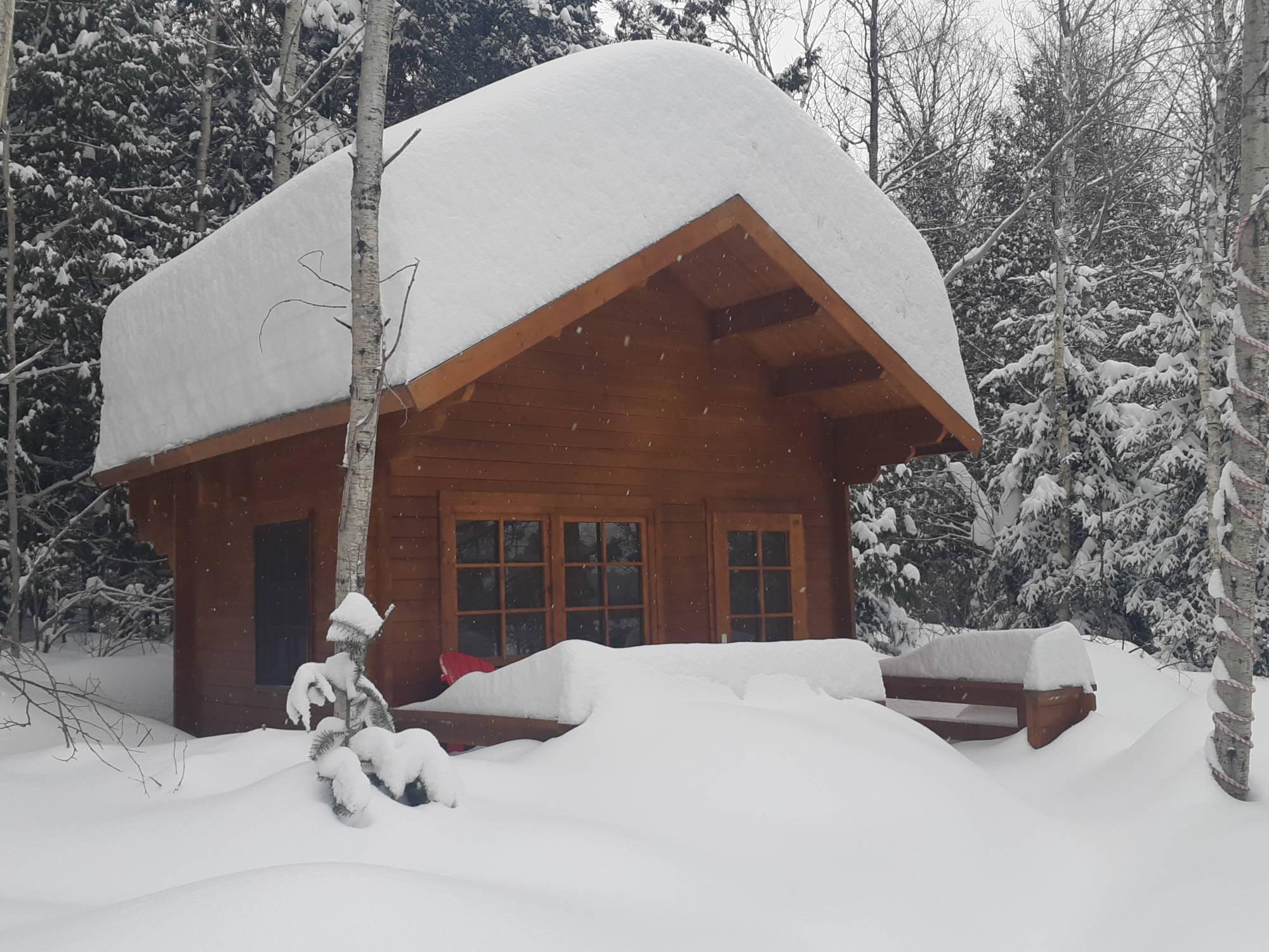 Peacock Bunkie