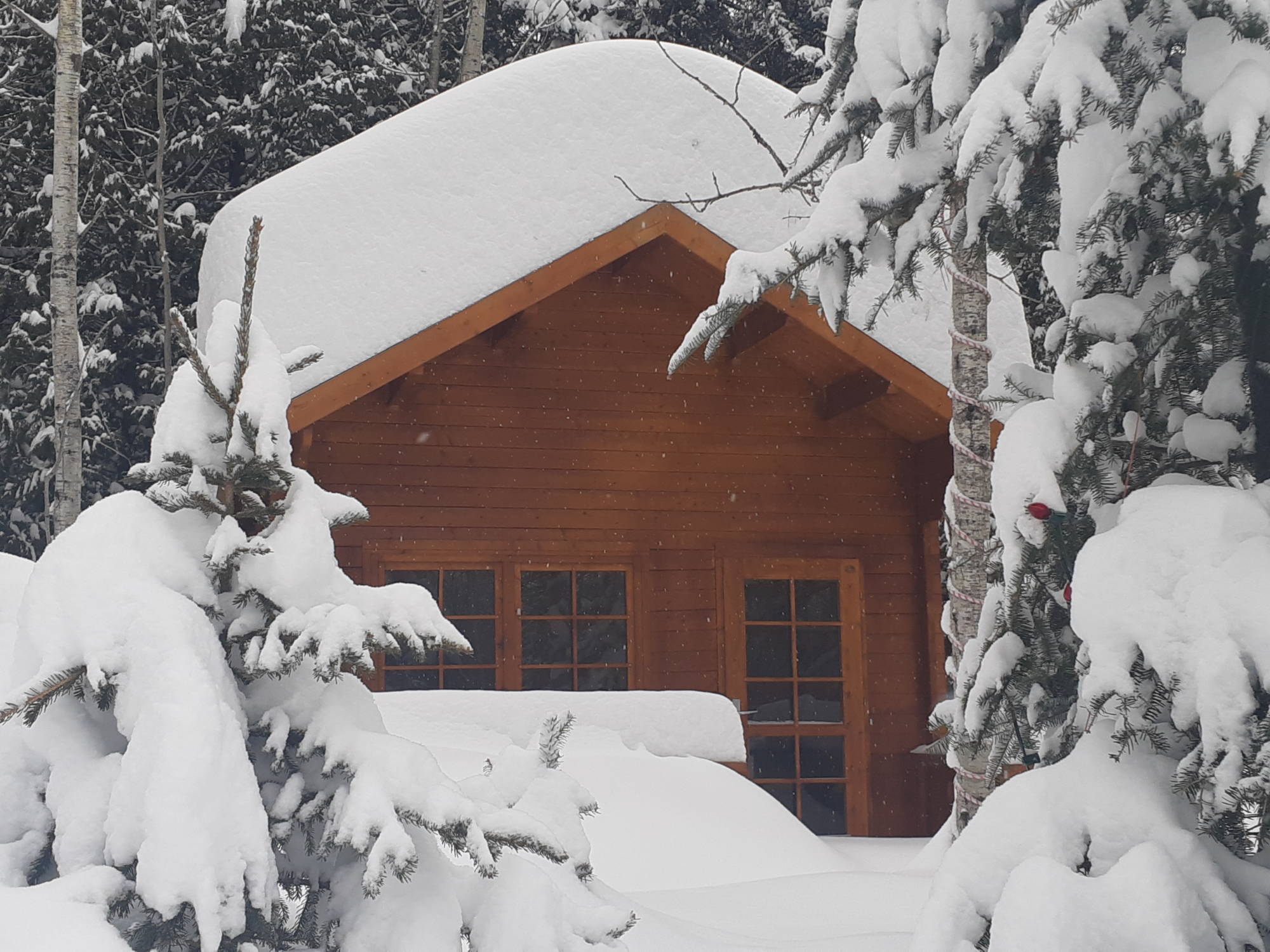 Peacock Bunkie